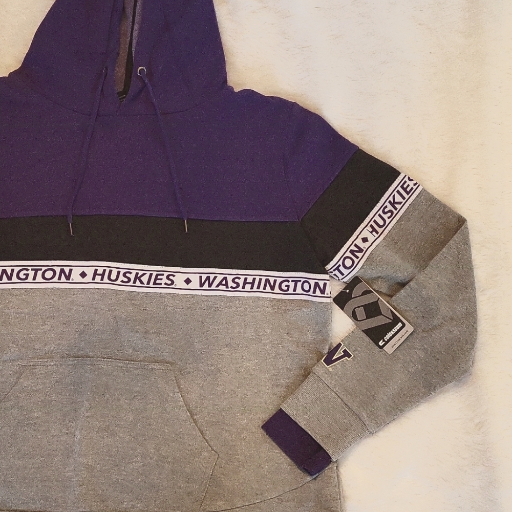Washington Huskies Colorblock Hoodie